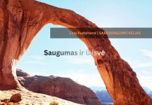 2026-09-17 tema: saugumas ir laisvė L. Rudaitienė - Saugumas ir laisvė